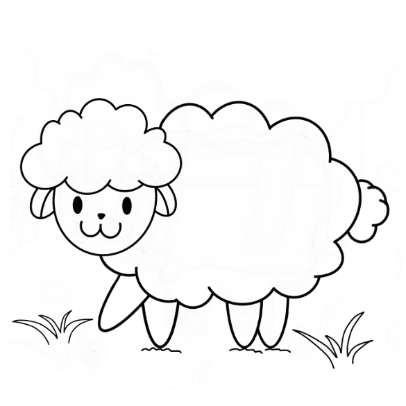 dibujos de dibujos de oveja paso 9