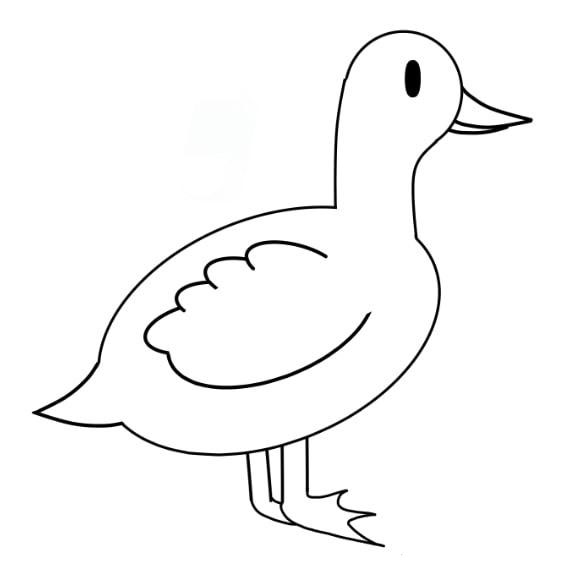 Dibujos de Pato - Cómo dibujar Pato paso a paso