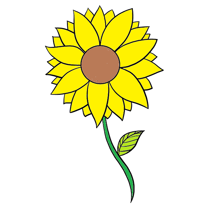 dibujos de dibujos de girasol paso 7