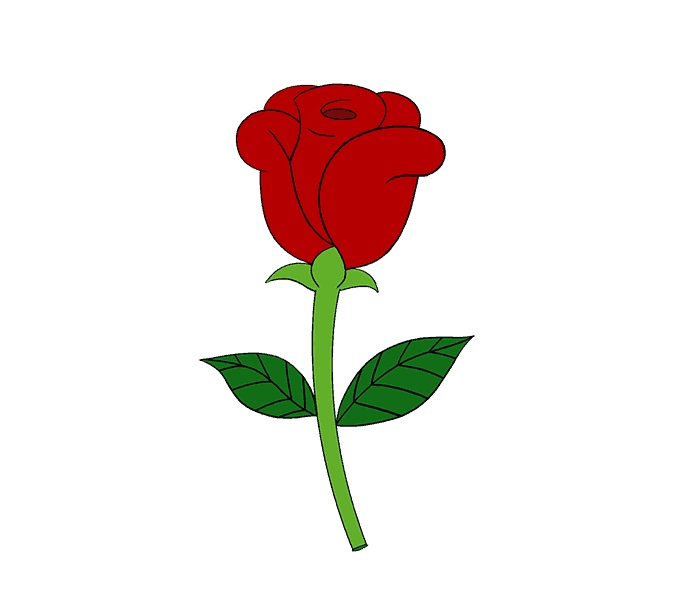 Cómo dibujar una Rosa paso a paso  Dibujo fácil de Rosa  Dibujos de rosas  Dibujo de rosa fácil Como dibujar rosas