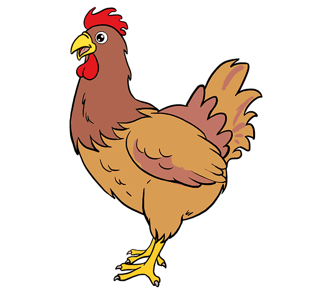 dibujos de dibujos de gallina paso 10