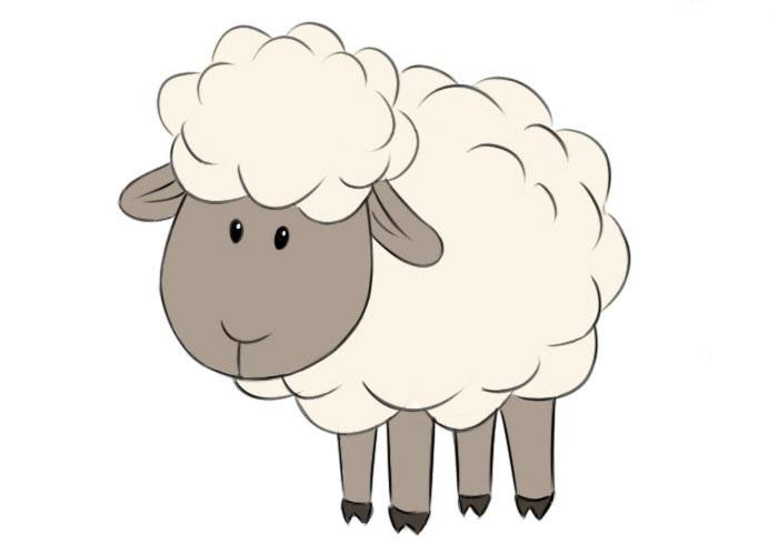 dibujos de dibujos de oveja paso 9