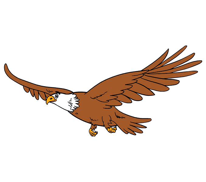 dibujos de dibujos-de-Aguila-paso-11