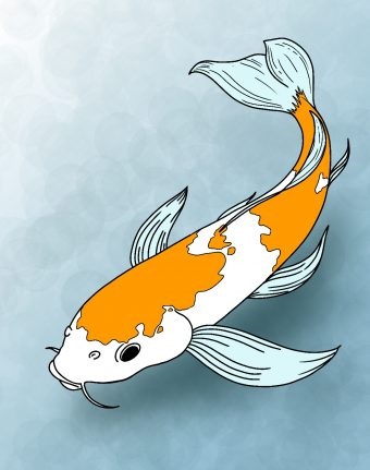 dibujos de Peces koi