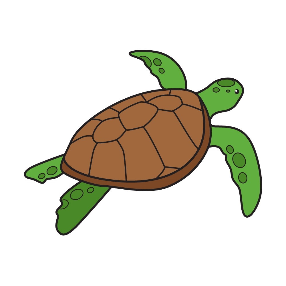 Dibujos de Tortuga - Cómo dibujar Tortuga paso a paso