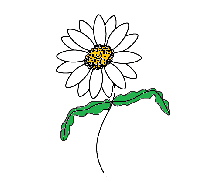 dibujos de dibujos-de-Crisantemo-paso-7