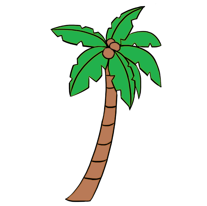 Dibujos de Árbol Coco - Cómo dibujar Árbol Coco paso a paso