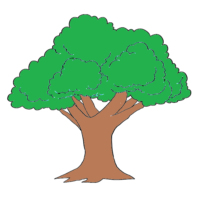 dibujos de dibujos-de-arbol-paso-5