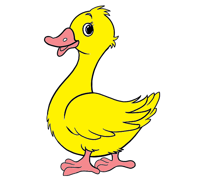 dibujos de dibujos-de-pato-paso-9