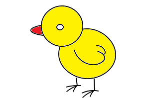 dibujos de dibujos-de-pollo-paso-8