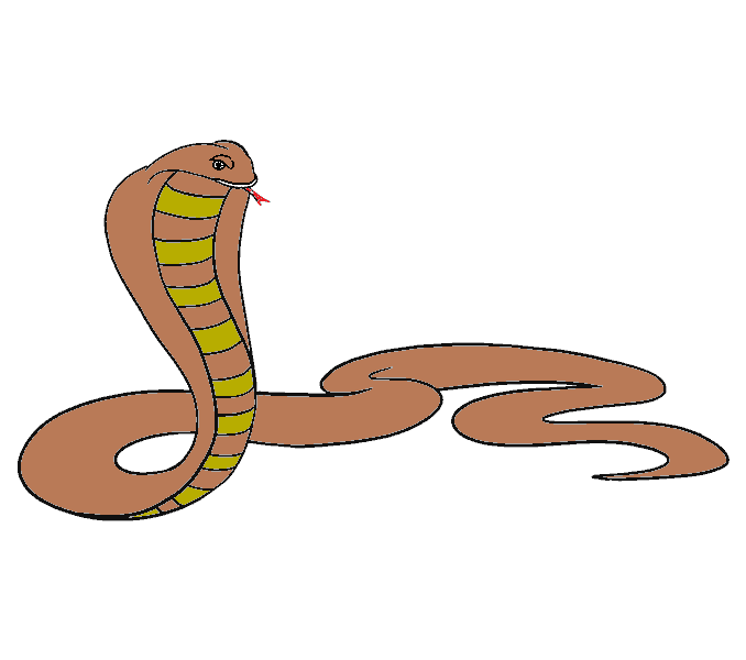 dibujos de dibujos-de-serpiente-paso-8-1