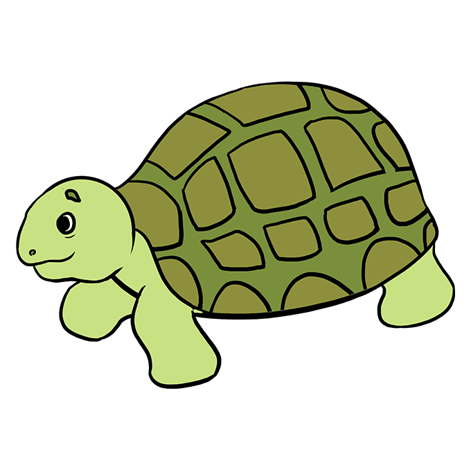 dibujos de dibujos-de-Tortuga-paso-7