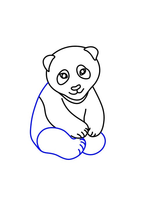Cómo dibujar un panda  Adobe