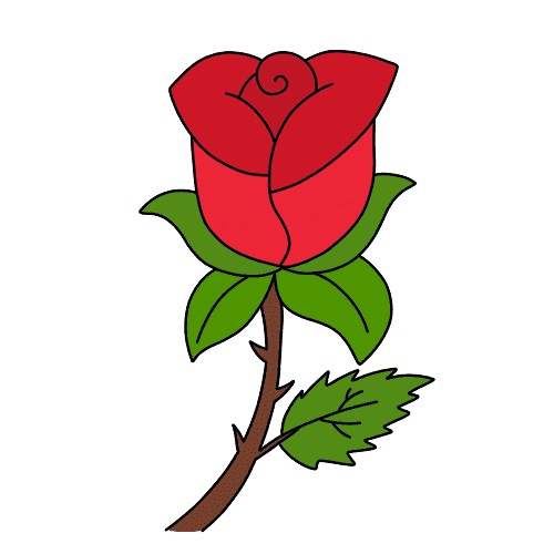 Dibujos de Rosa - Cómo dibujar Rosa paso a paso