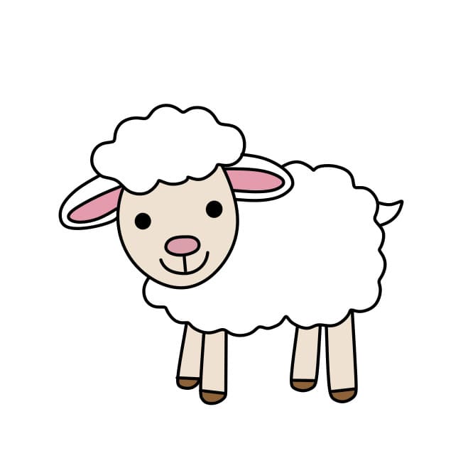 dibujos de Dibujar-ovejas-paso8