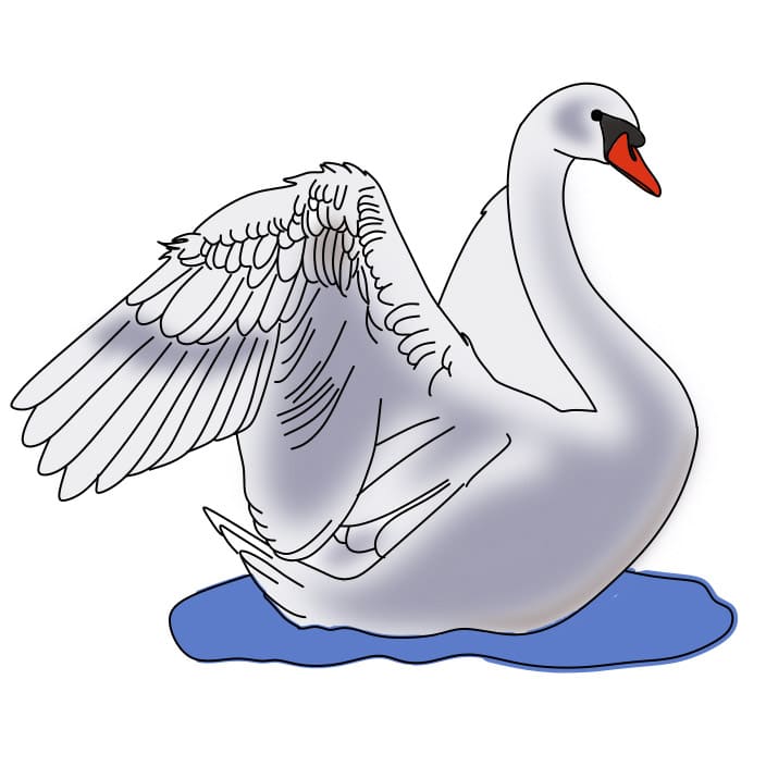 dibujos de dibujo-cisne-paso17-1