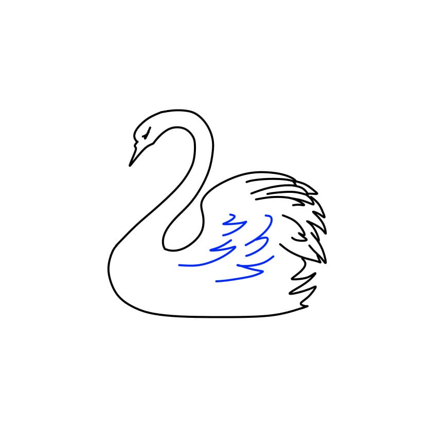 dibujos de dibujo-cisne-paso8-1