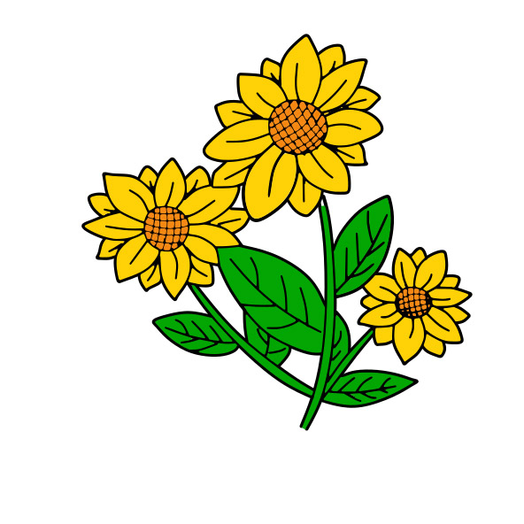 dibujos de dibujo-girasol-paso10