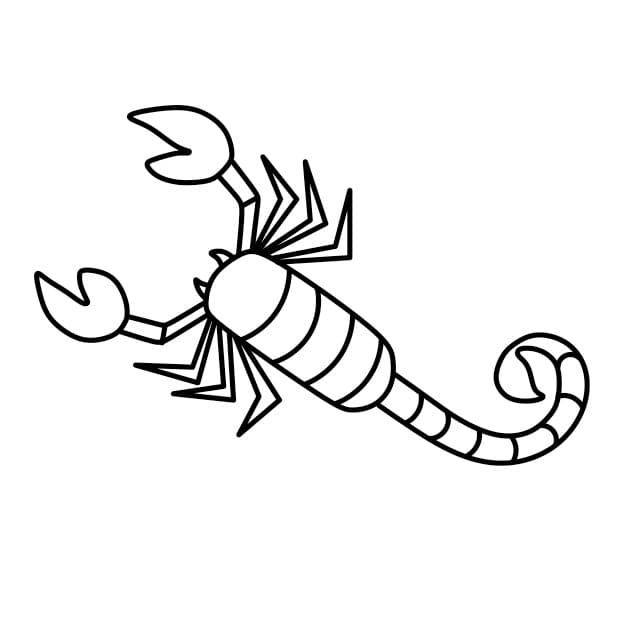 dibujos de Dibujar-un-escorpion-paso8-5