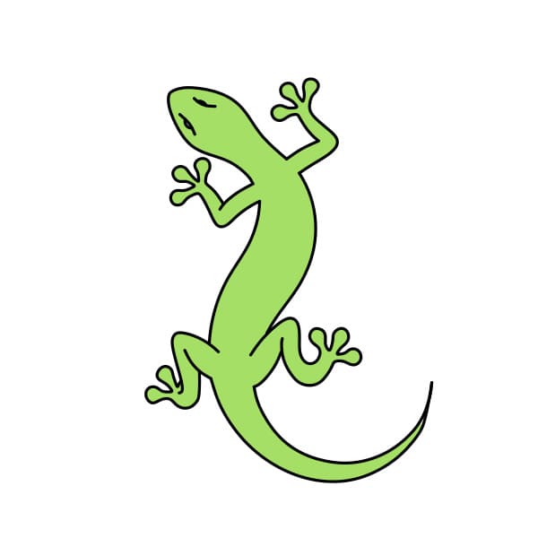 dibujos de dibujando-un-lagarto-paso7