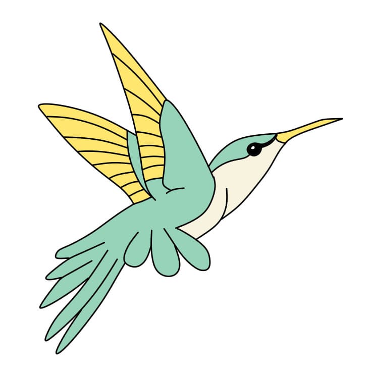 dibujos de Como-dibujar-un-colibri-Paso-8-5