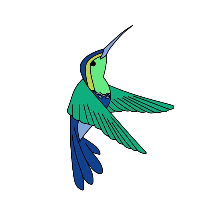 dibujos de Como-dibujar-un-colibri-Paso-8-7