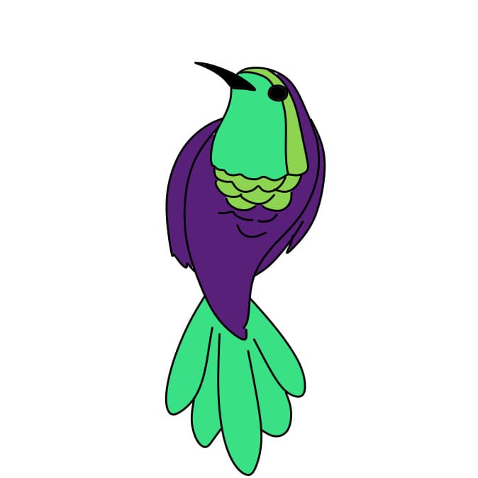 dibujos de Como-dibujar-un-colibri-Paso-8-9