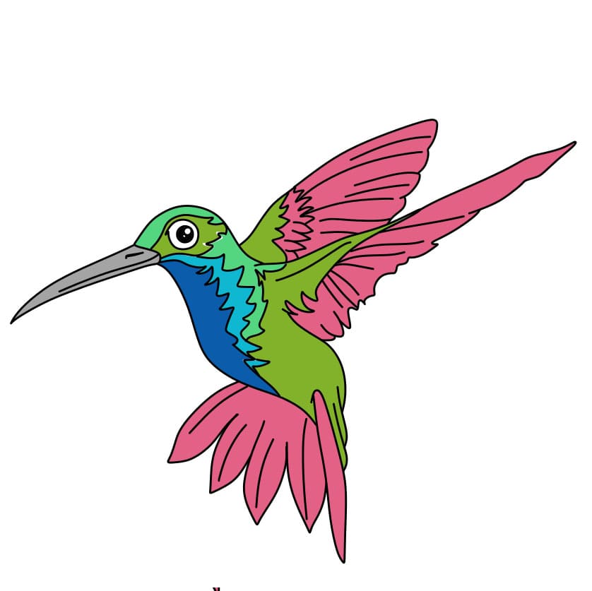 dibujos de Como-dibujar-un-colibri-Paso-9