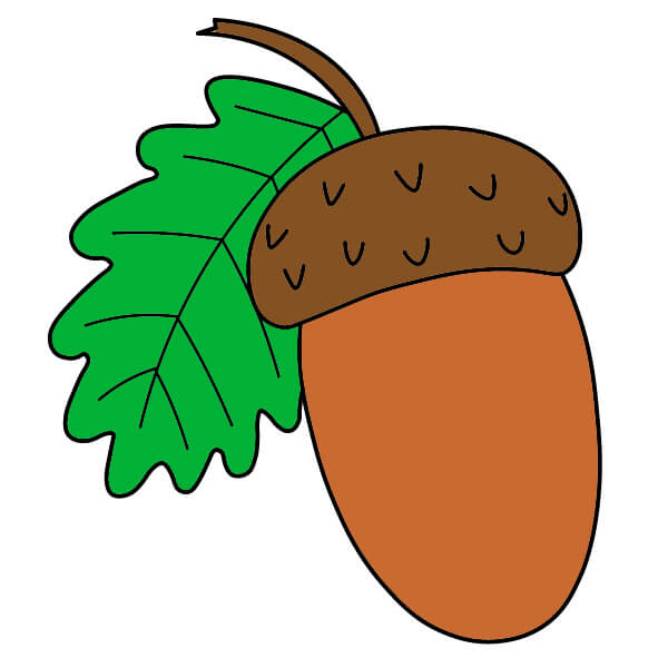 dibujos de Acorn 3-7