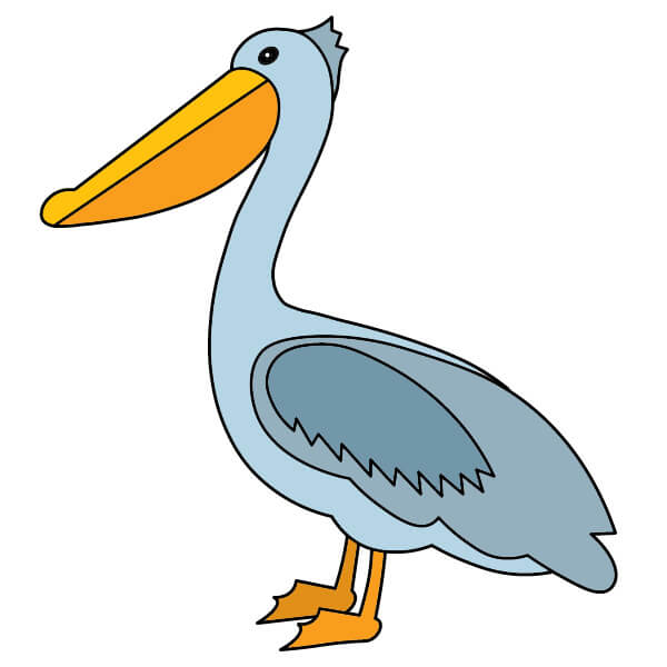 dibujos de Pelícano